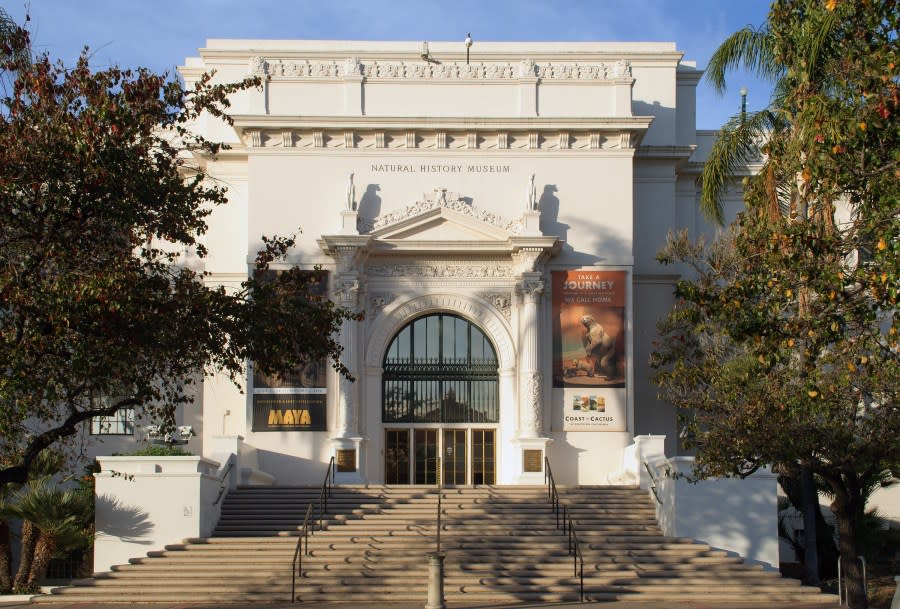 San Diego Natural History Museum in Balboa Park.