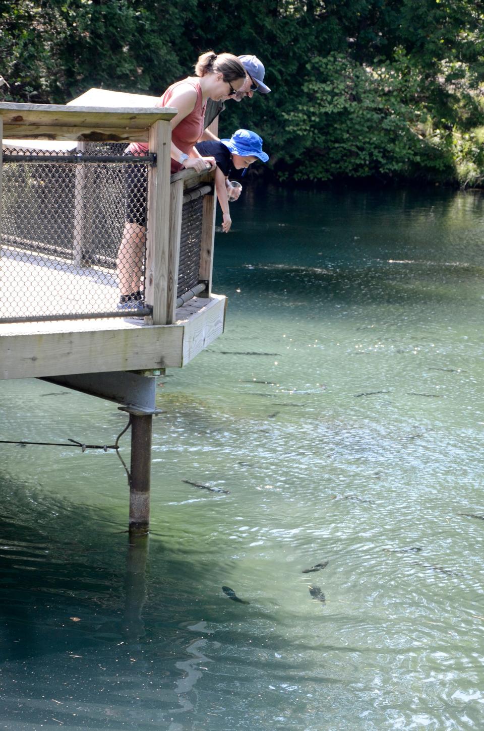 Sarah, Jacob and Jeff Powell, visiting from Pinckney, feed the fish in one of the ponds at the Oden State Fish Hatchery on Thursday, Aug. 3, 2023.