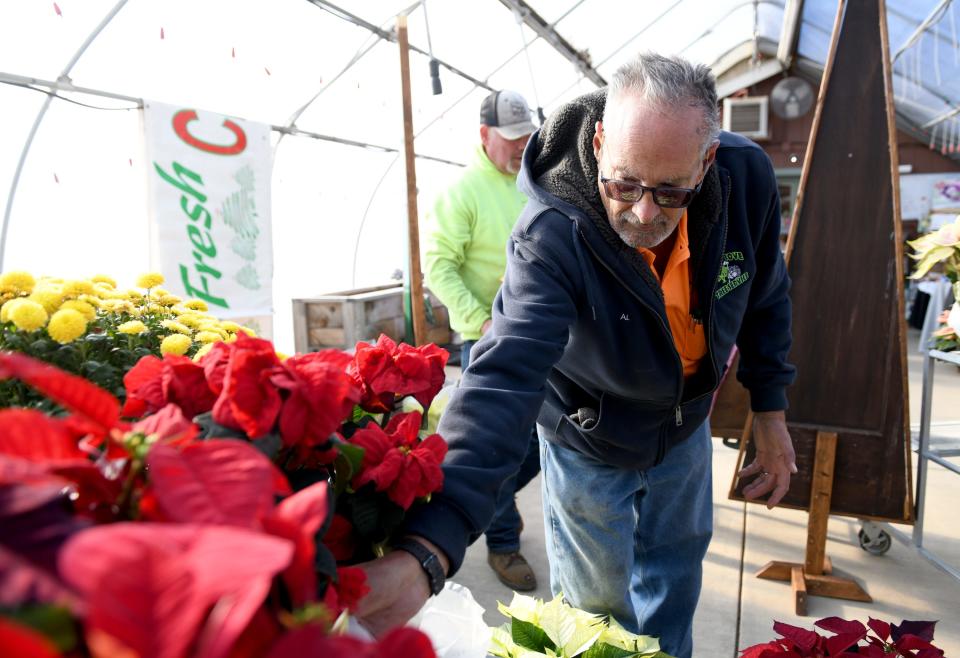 Owner Al Royer stocks shelves with a fresh delivery of poinsettia plants for the Christmas season at Planted Roots Garden Center in Plain Township.