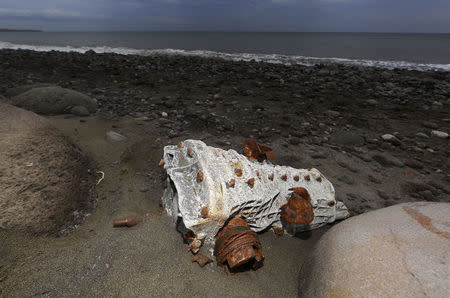 Debris that has washed onto the Jamaique beach in Saint-Denis is seen on the shoreline of French Indian Ocean island of La Reunion, August 3, 2015. REUTERS/Jacky Naegelen