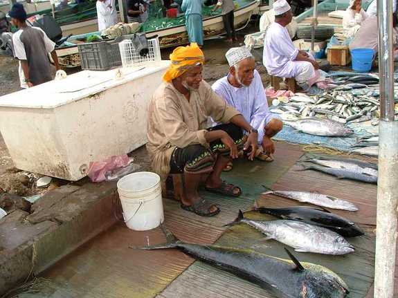 Studying Bioluminescent Blooms in the Arabian Sea