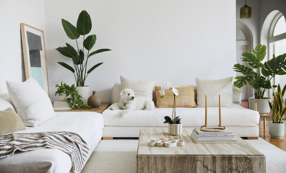 We tried&nbsp;<a href="https://fave.co/31UC9GP" target="_blank" rel="noopener noreferrer">The Sill's new faux plant line</a>. (Photo: The Sill)