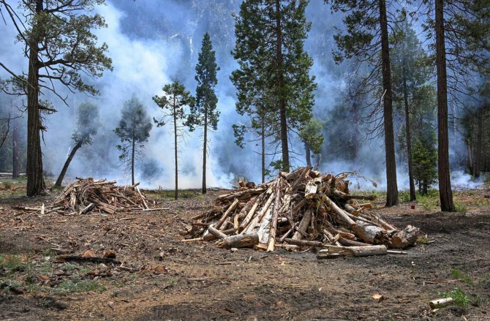 Wood piles are stacked up off Southside Drive in Yosemite National Park as a control burn takes place on Tuesday, June 14, 2023.