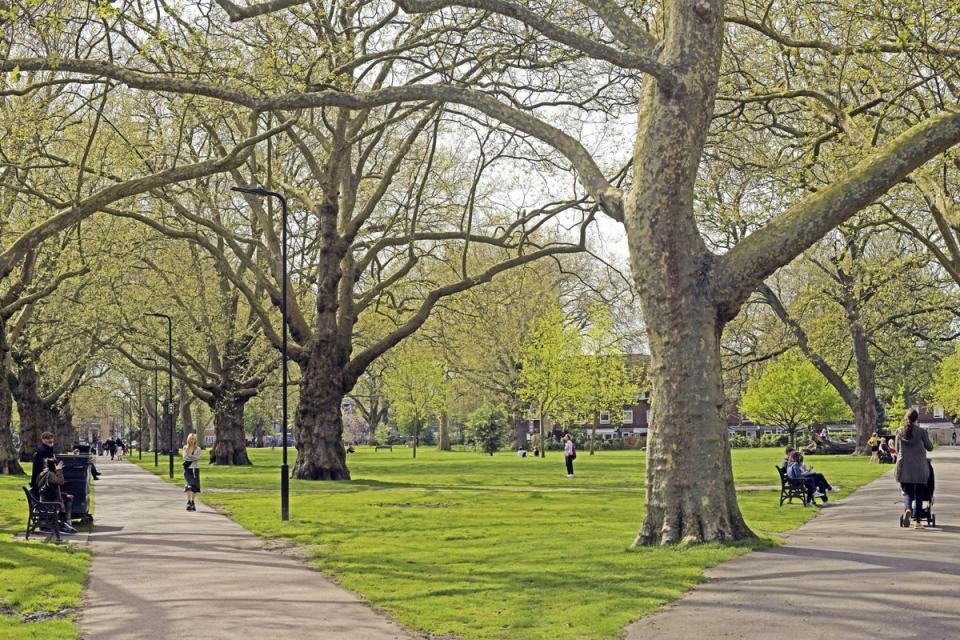 London Fields is one of Hackney’s many green spaces (Daniel Lynch)