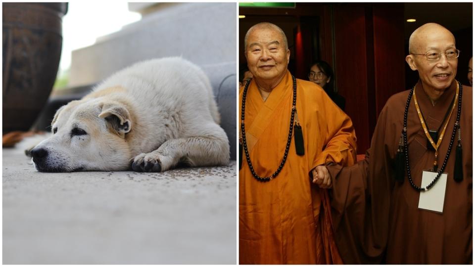 星雲大師（右圖左）、聖嚴法師（右圖右）。（示意圖／shutterstock達志影像、翻攝法鼓山臉書）