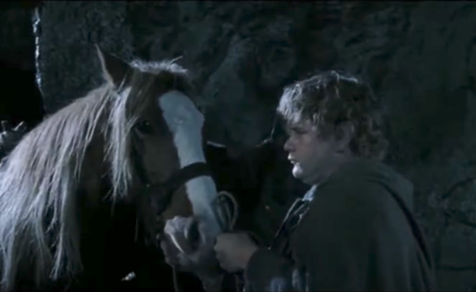 Samwise Gamgee calming Bill the pony in a cave from "The Lord of the Rings."