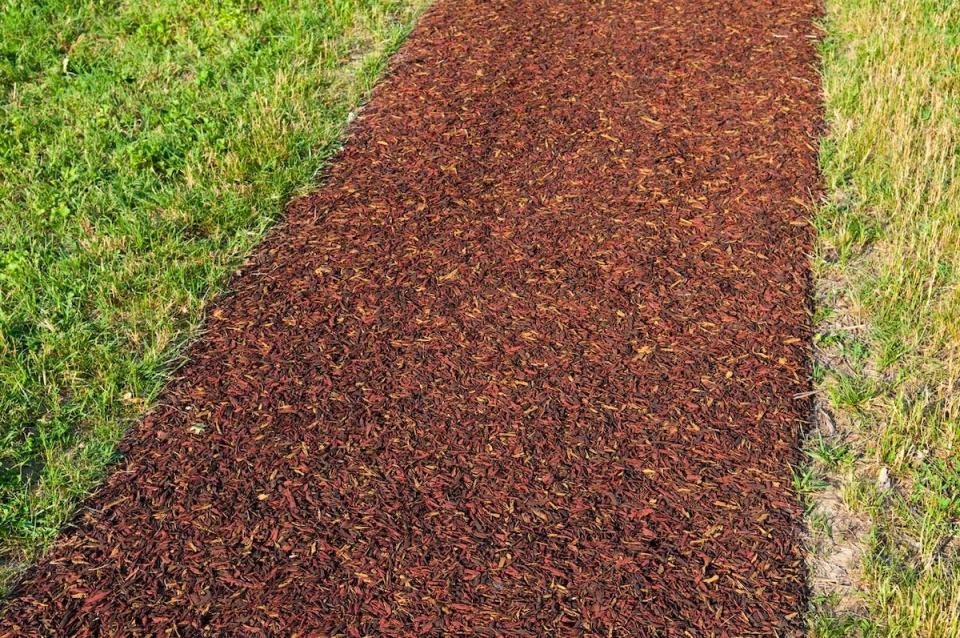 Recycled tire rubber mulch walking path in a residential lawn.