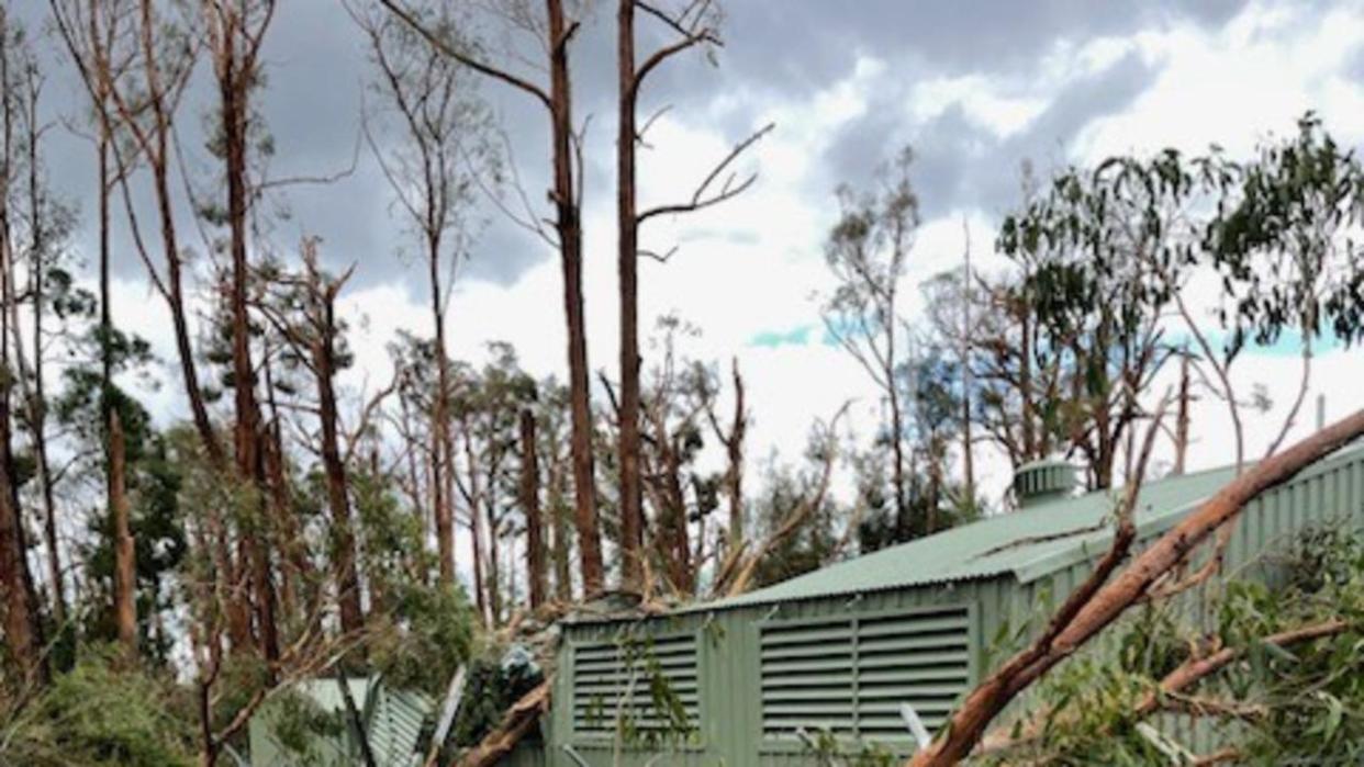 Thousands of homes remain without power in Victoria’s Gippsland region. Picture: South Gippsland MP Danny O’Brien.