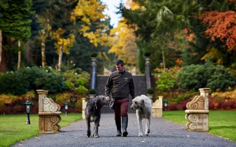Ashford Castle wolfhounds - Credit: Richard Moran Photography