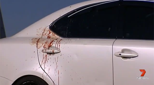 Daylight exposed the evidence of a bloody battle in the small residential cul-de-sac.  Photo: 7 News.