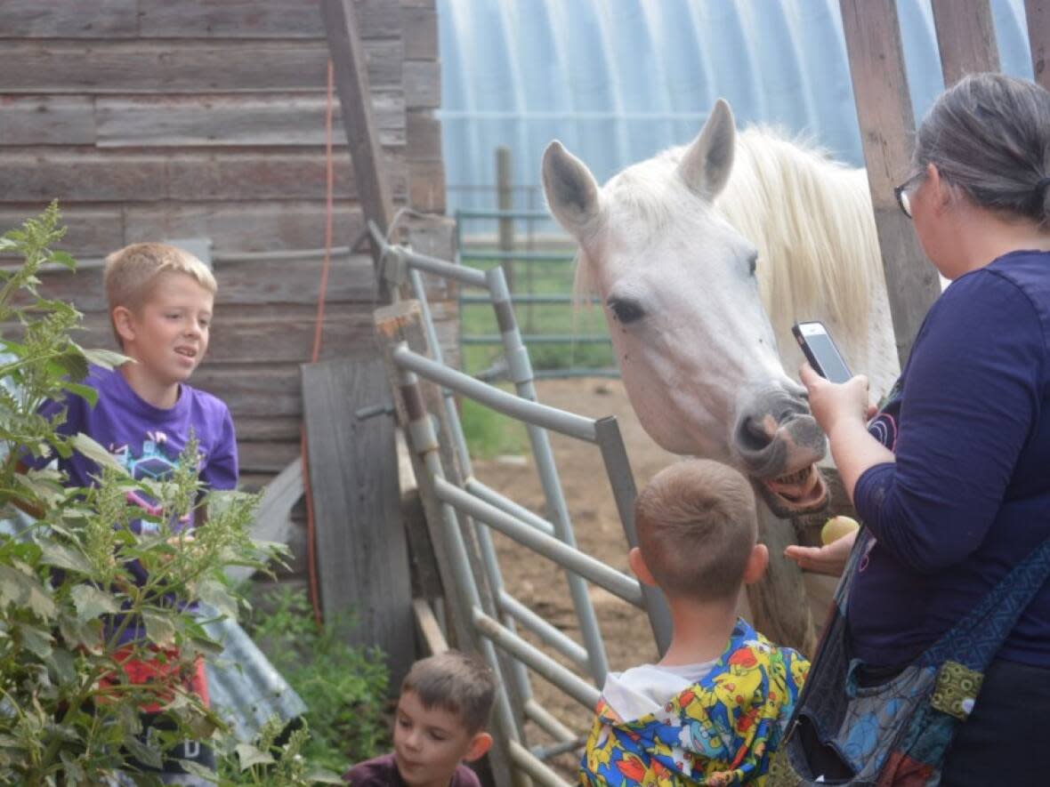 Visitors to the Free To Be Me Animal Sanctuary interact with Farah, a horse on the farm. (Courtesy of Moose Jaw Today - image credit)