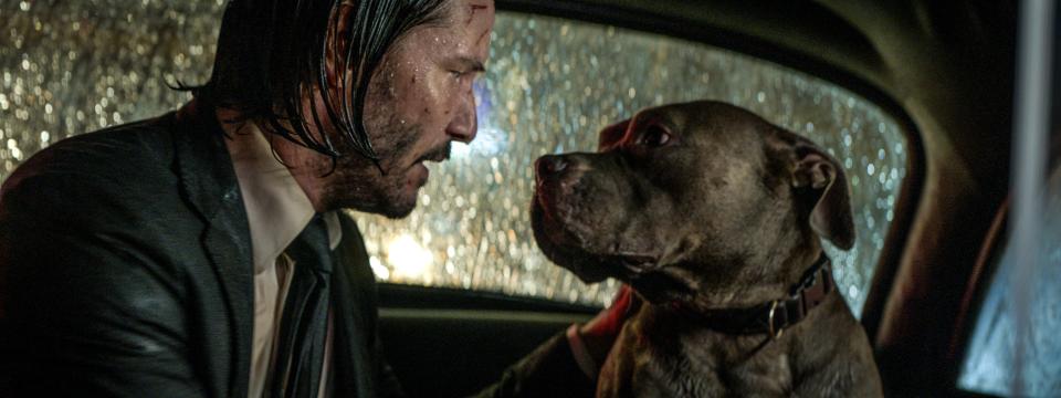 Even with a heap of assassins after him, John Wick (Keanu Reeves) looks out for his loyal pitbull pal in "John Wick: Chapter 3 – Parabellum."