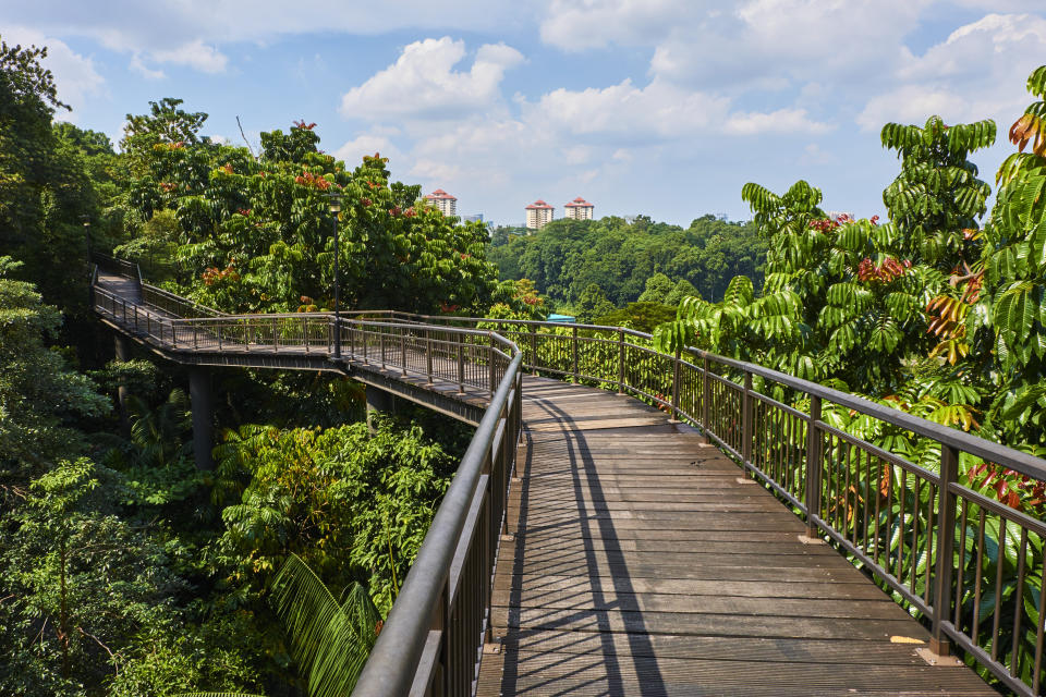 Woman walking on a wooden bridge over a river with trees in the background. She carries a blue backpack