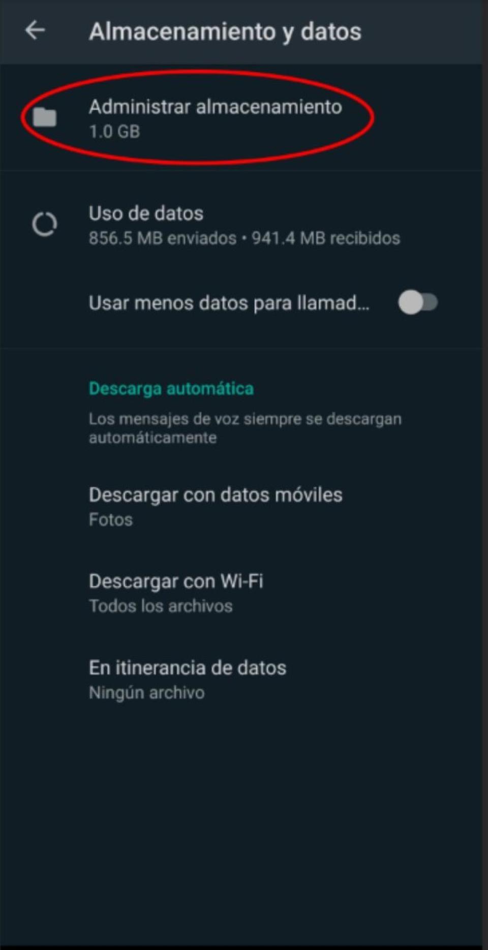 A partir de esta pantalla podrás administrar todo lo que se ha descargado en tu teléfono