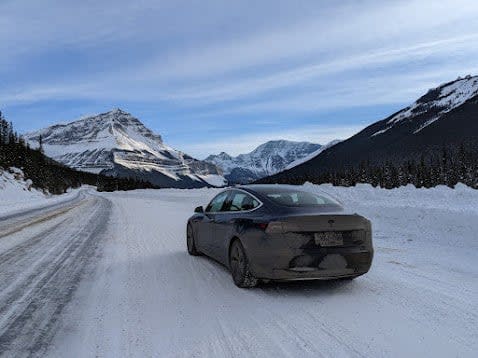 Mark Vejvoda tested the limits of the 2020 Tesla Model 3 by making a 440-kilometre round trip from Prince George to McBride, B.C., and back. (Mark Vejvoda - image credit)