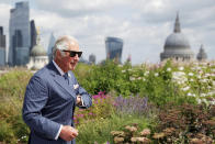 ARCHIVO - En esta fotografía del 14 de julio de 2021, el príncipe Carlos visita la sede de Goldman Sachs, en Londres. (Peter Nicholls/Pool vía AP, Archivo)