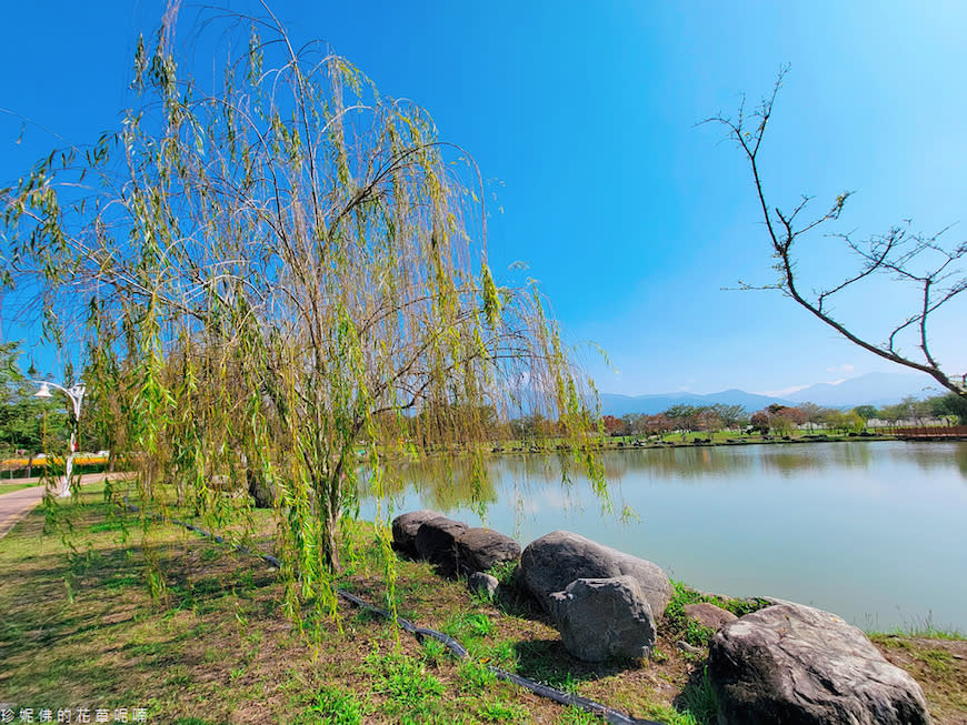 屏東｜新埤鄉綜合休閒公園