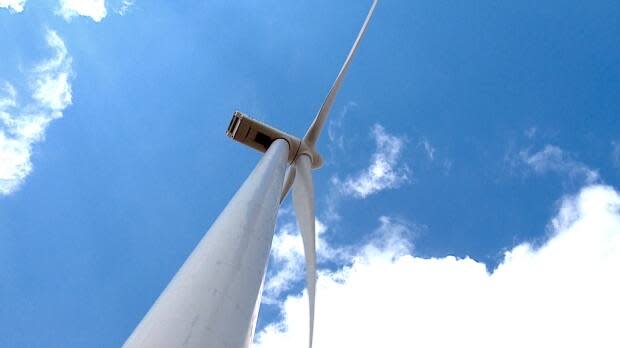 Nova Scotia says it will seek proposals to generate 10 per cent of its energy needs from renewable sources. Wind is now the cheapest source of electrical energy in Canada, the province stated in a media release Saturday. (Kyle Bakx/CBC - image credit)