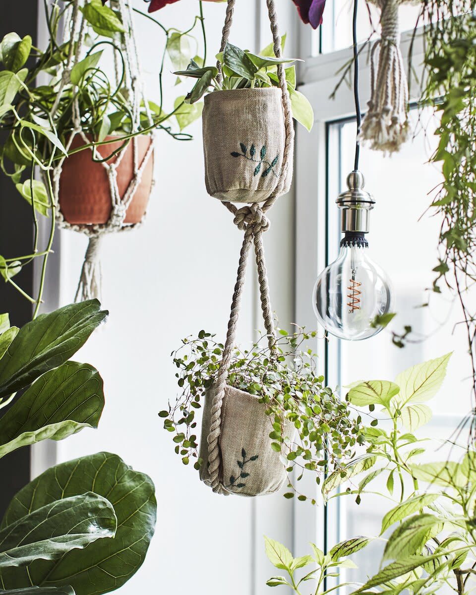 Hanging Planters