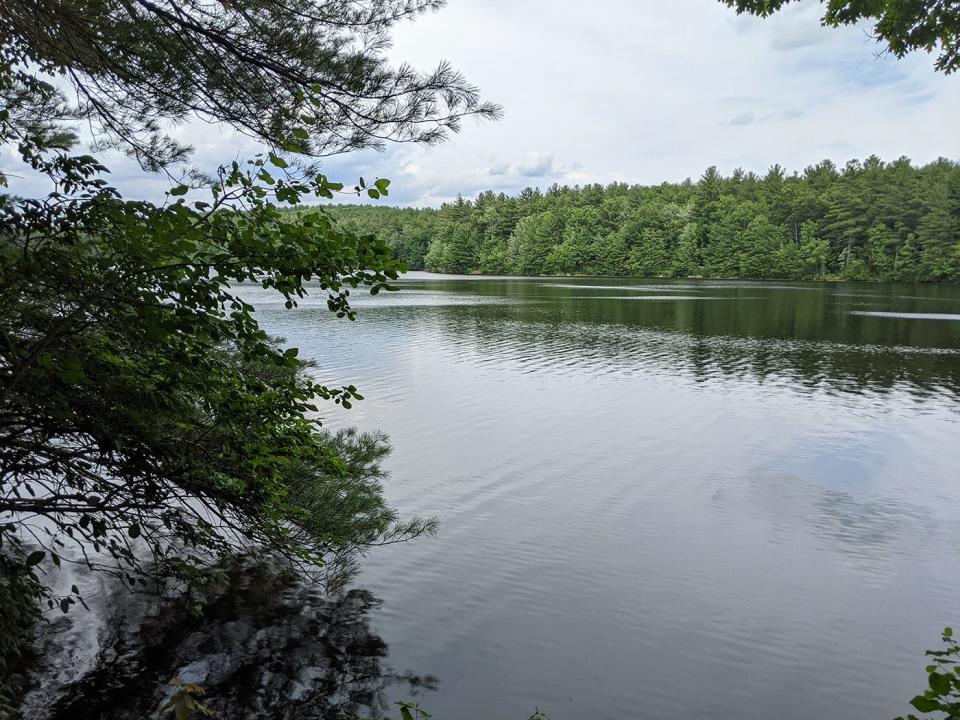 A view of the Perley Brook Reservoir from the Perley Brook Loop Trail located off of Clark Street in Gardner.