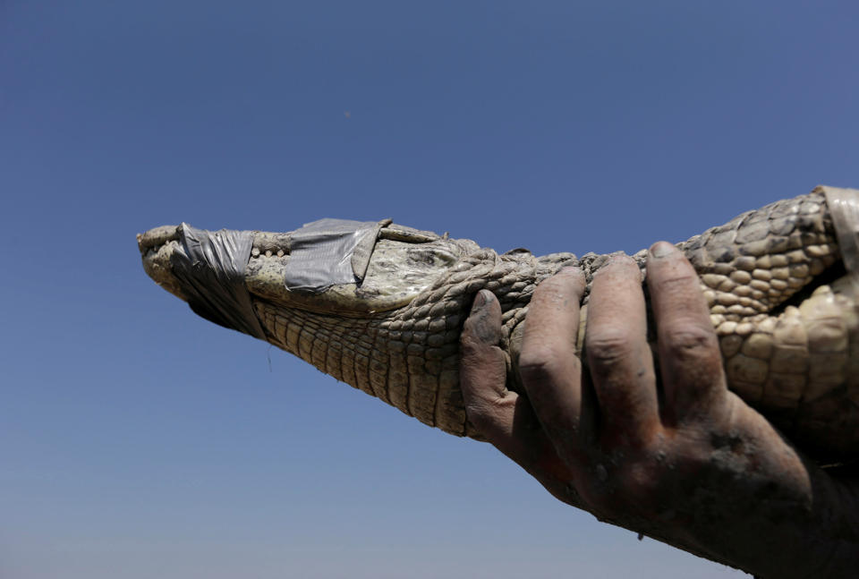 A slow death along the Pilcomayo River