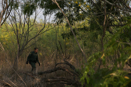Border patrol agent Robert Rodriguez looks for signs of immigrants who illegally crossed the border from Mexico into the U.S. in the Rio Grande Valley sector, near McAllen, Texas, U.S., April 3, 2018. REUTERS/Loren Elliott