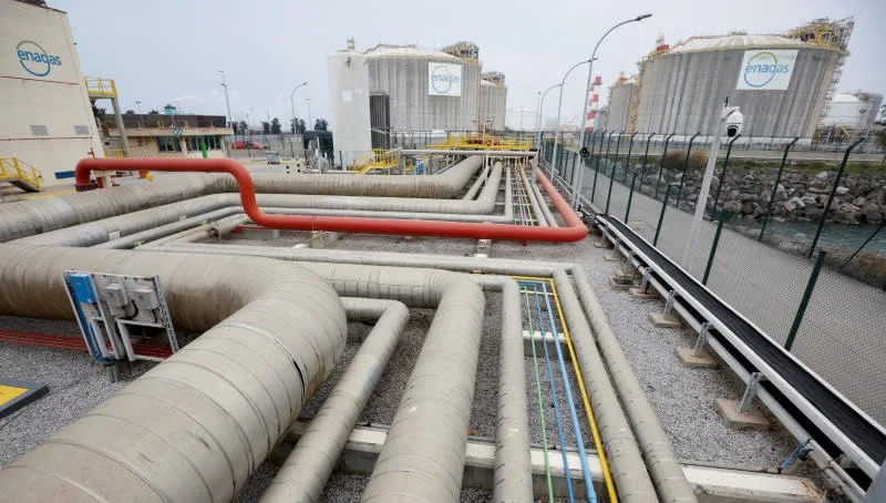 Ribera says that the Barcelona-Marseille gas pipeline is a substitute for the link with Italy