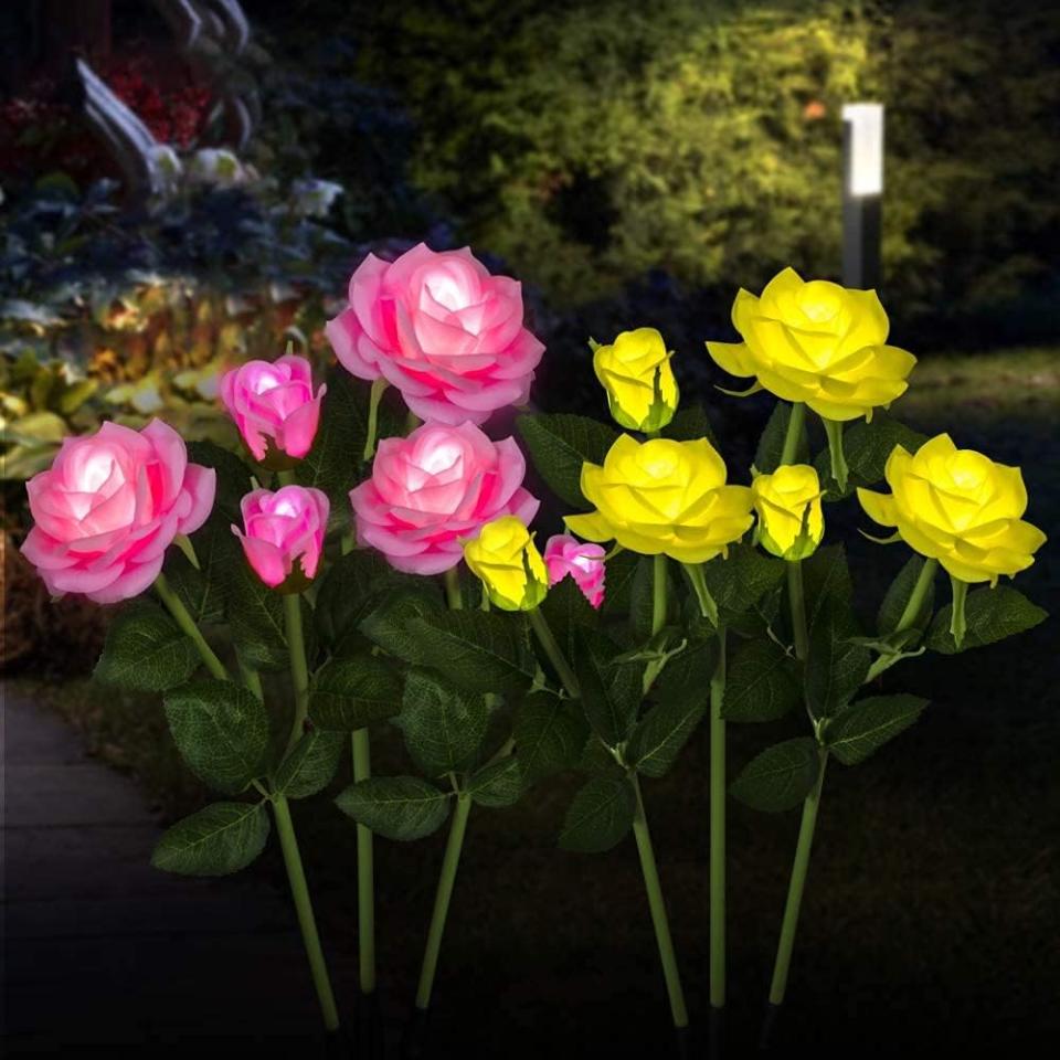 Pink and yellow rose-shaped garden lights at night