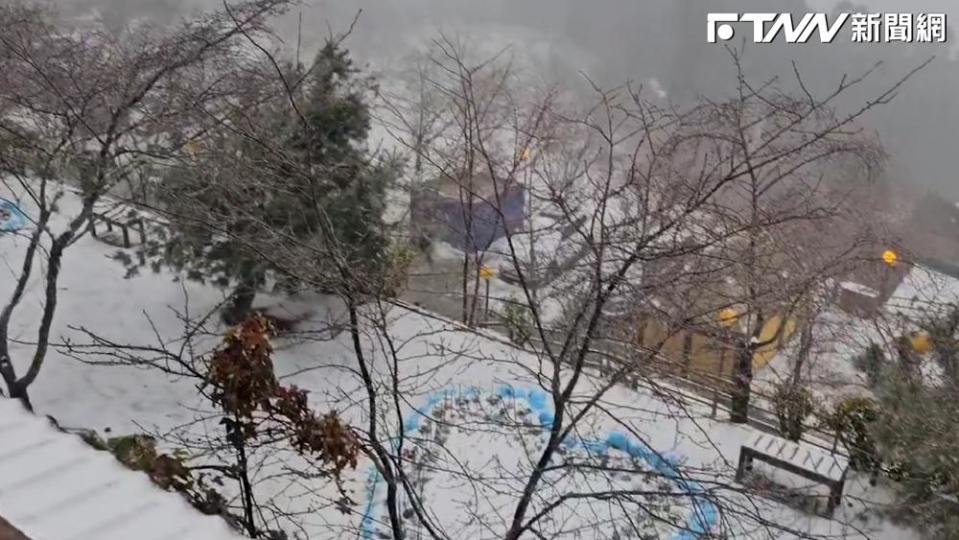 桃園的拉拉山清晨開始飄雪。（圖／拉拉山 恩愛農場 提供）