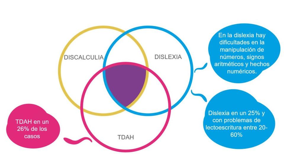 Comorbilidad de la discalculia con otros trastornos del aprendizaje. <a href="http://www.neurekalab.es" rel="nofollow noopener" target="_blank" data-ylk="slk:Fuente: NeurekaLAB;elm:context_link;itc:0;sec:content-canvas" class="link ">Fuente: NeurekaLAB</a>