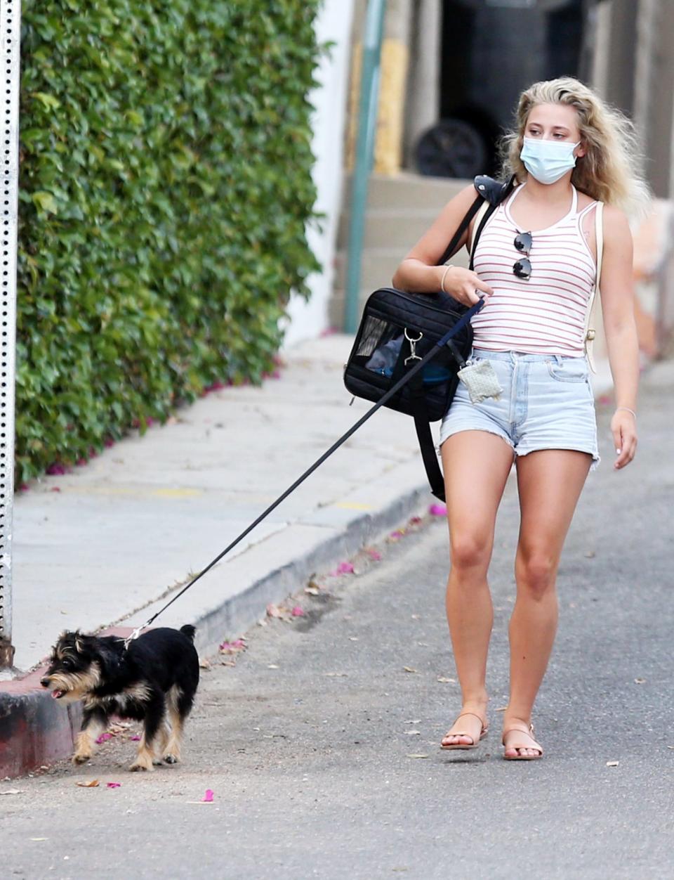 <p>Lili Reinhart takes her pup along to visit friends in L.A. on Monday. </p>