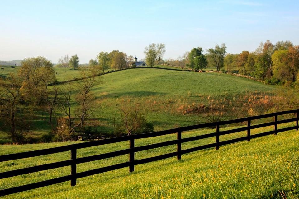 Rolling green hills of a farm and the countryside, Goodstone Inn in Middleburg, Virginia.