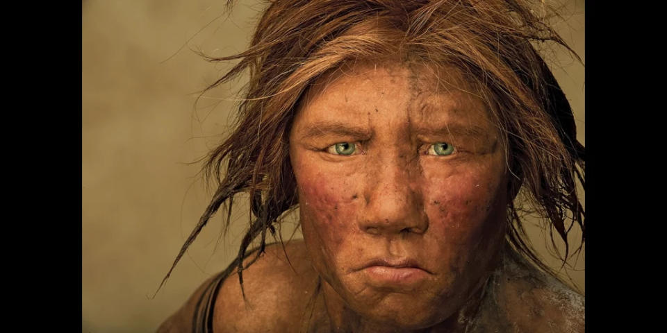 Antepasado lejano. La anatomía facial, así como el color de los ojos y la piel de este modelo de mujer neandertal, se basan en fósiles y ADN. (Joe Mcnally / Getty)