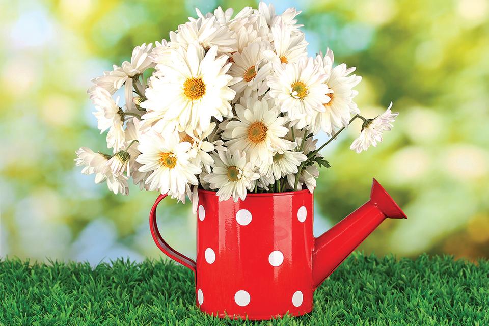 Memorial Day Decorations: floral daisy pitcher
