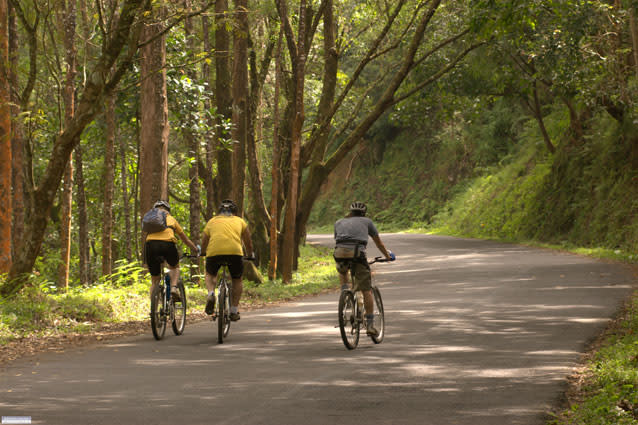  Cycle Through South India