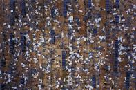 <p>Solar panel debris is seen scattered in a solar panel field in the aftermath of Hurricane Maria in Humacao, Puerto Rico on Oct. 2, 2017. (Photo: Ricardo Arduengo/AFP/Getty Images) </p>