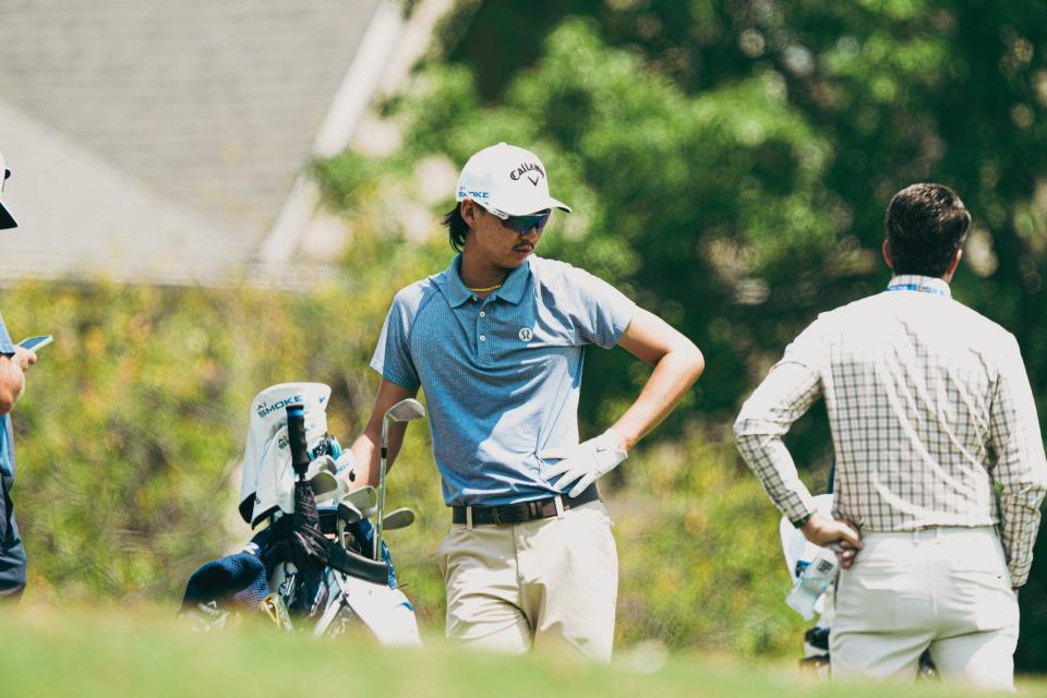 Photos 2024 FedEx St. Jude Championship at TPC Southwind Yahoo Sports