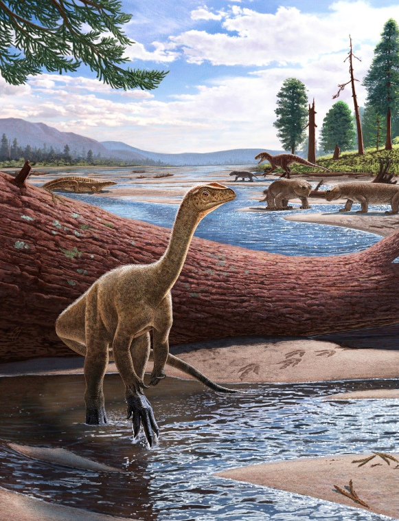 Artistic reconstruction of Mbiresaurus raathi (in the foreground) with the rest of the Zimbabwean animal assemblage in the background. It includes two rhynchosaurs (at front right), an aetosaur (at left), and a herrerasaurid dinosaur chasing a cynodont (at back right) / Credit: Andrey Atuchin/Virginia Tech