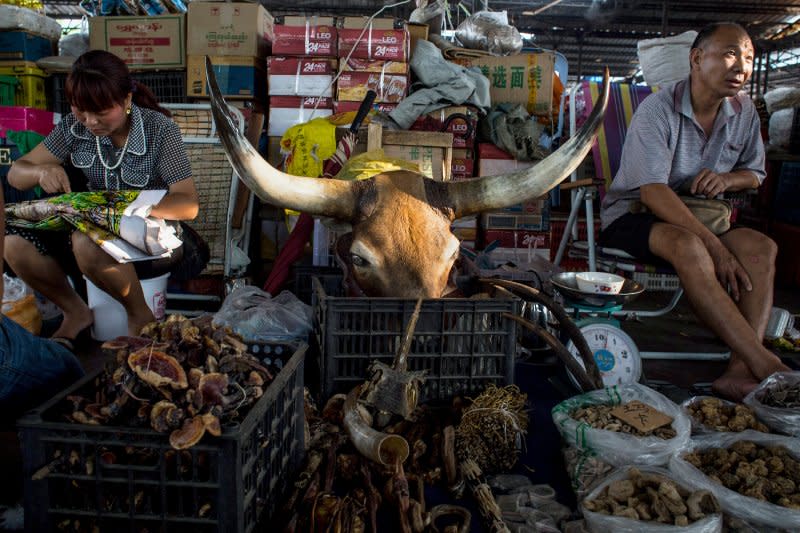 A wildlife product shop in the market of Mong La, with a large buffalo head resting in a box. The town is in the middle of the Golden Triangle and specializes in gambling and the sale of poached and endangered species.<span class="copyright">Minzayar Oo—Panos Pictures</span>
