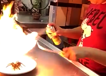 A chef torches a dead red rump tarantula before adding to a taco. (Photo: México en el Paladar via Facebook)
