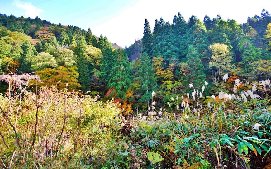 日本秋田｜大館・小坂鐵道鐵軌自行車