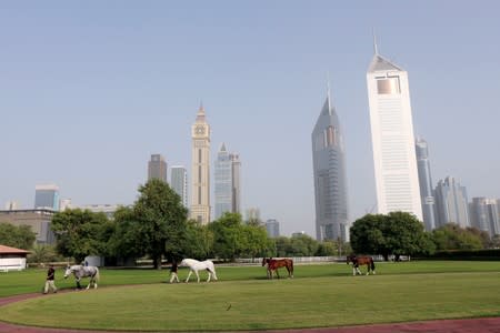 Dubai stables gives prize racehorses cryotherapy