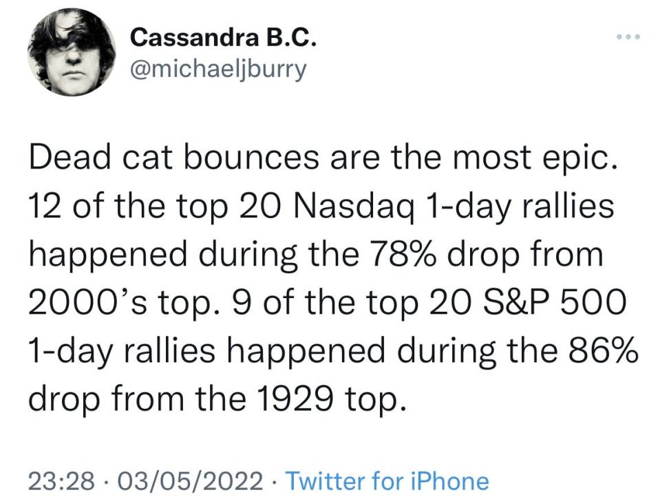 Burry tweet about dead cat bounces