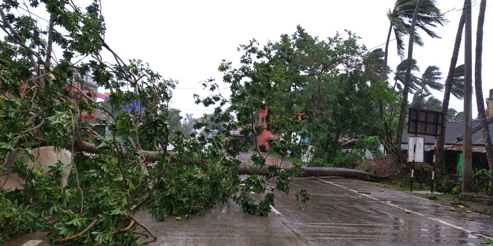 Trees lie uprooted on a highway from heavy winds ahead of Cyclone Amphan landfall, at Chandbali on the Bay of Bengal coast in Orissa, India, Wednesday, May 20, 2020. A powerful cyclone is moving toward India and Bangladesh as authorities try to evacuate millions of people while maintaining social distancing. Cyclone Amphan is expected to make landfall on Wednesday afternoon, May 20, 2020, and forecasters are warning of extensive damage from high winds, heavy rainfall, tidal waves and some flooding in crowded cities like Kolkata. (AP Photo)