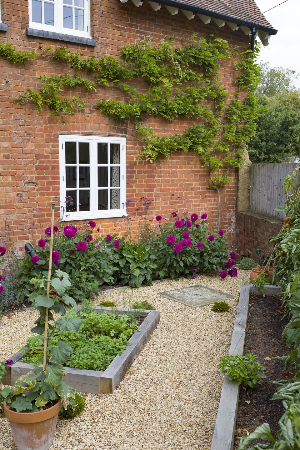 small english courtyard garden in uk with oak sleeper raised beds, gravel, and a victorian house