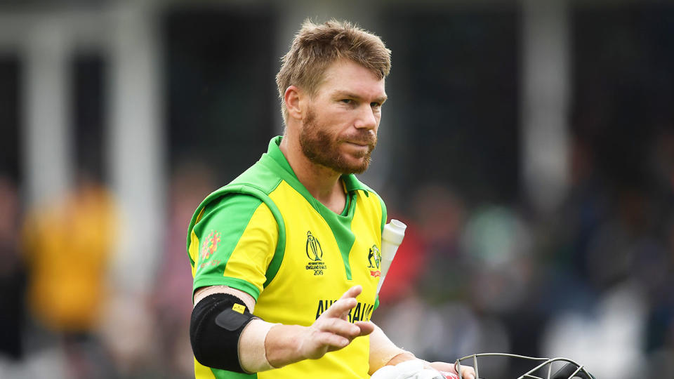 David Warner's run rate has raised eyebrows at the World Cup. 