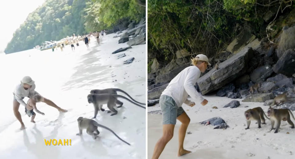 A photo of the 1-year-old being picked up by his dad at Monkey Beach, as several monkeys make their way towards them.