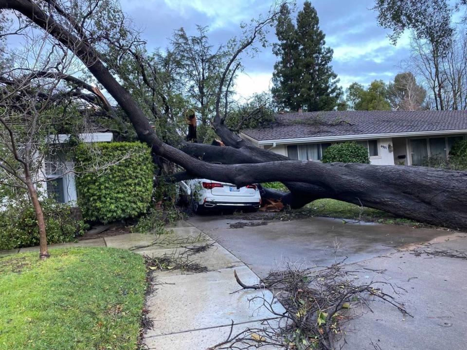 A fallen tree crushed an Acura MDX and part of a home’s roof in Carmichael on Monday, Feb. 5, 2024. A strong storm brought strong winds to the Sacramento region on Sunday, whipping trees and downing power lines across the capital region.