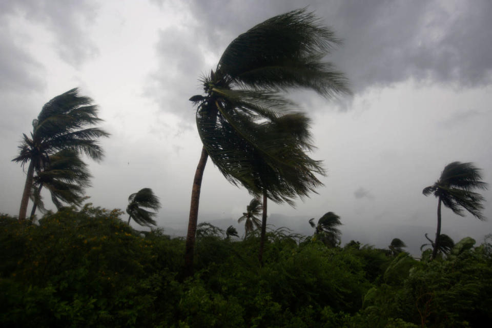 <p>Wind blows coconut trees during the passage of Hurricane Matthew in Port-au-Prince, Haiti, Tuesday, Oct. 4, 2016. (AP Photo/Dieu Nalio Chery)</p>