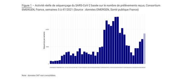 Activité réelle de séquençage du SARS-CoV-2 basée sur le nombre de prélèvements reçus, Consortium EMERGEN, France (Photo: Direction générale de la santé publique)